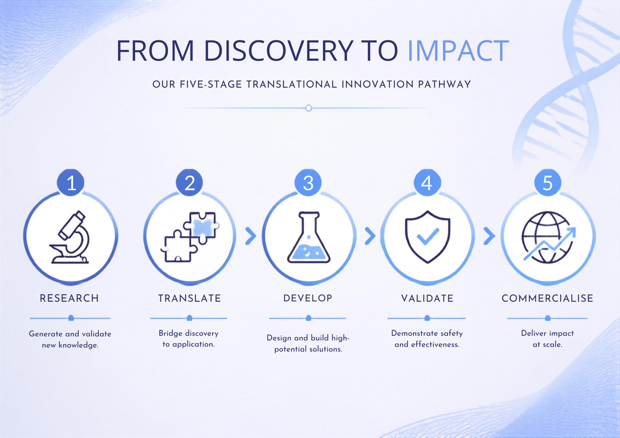 From Scientific Discovery to Market Success: the Innovation Journey